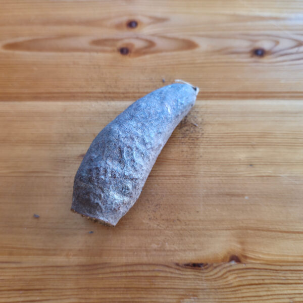 Hornkapsel (Jecetiba)