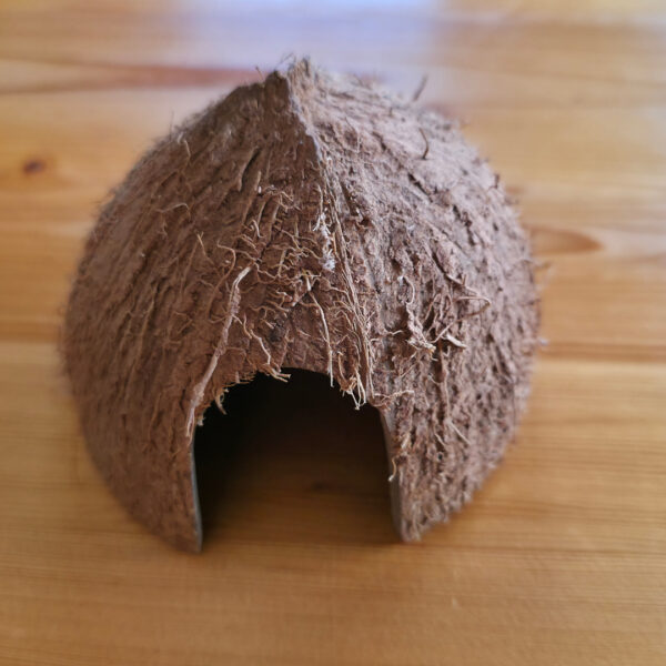 Halbe Kokosnussschale mit Öffnung unten
