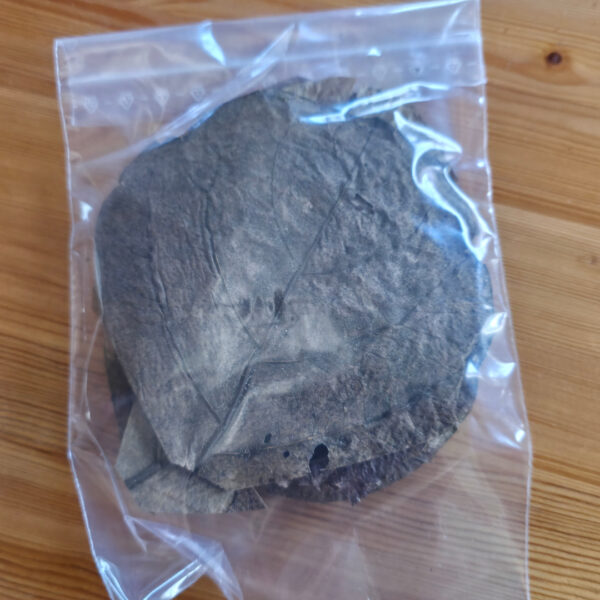 Seemandelbaumblätter Garnelenfutter Starter-Set